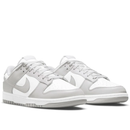 Nike Dunk  Low Retro Cinza
